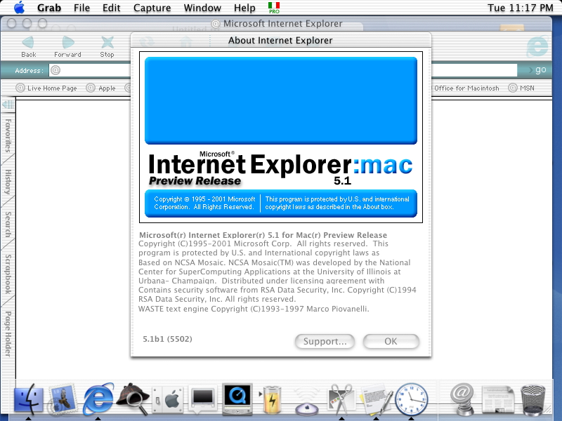 internet explorer for mac os 11